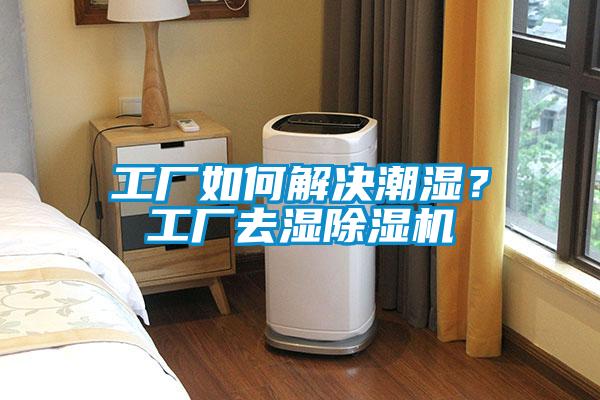工厂如何解决潮湿？工厂去湿香蕉视频国产APP下载机