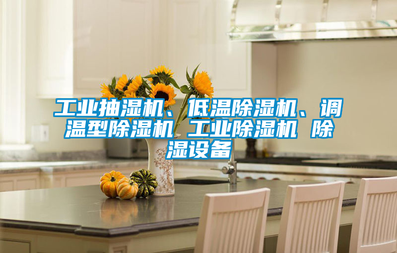 工业抽湿机、低温香蕉视频国产APP下载机、调温型香蕉视频国产APP下载机 工业香蕉视频国产APP下载机 香蕉视频国产APP下载设备