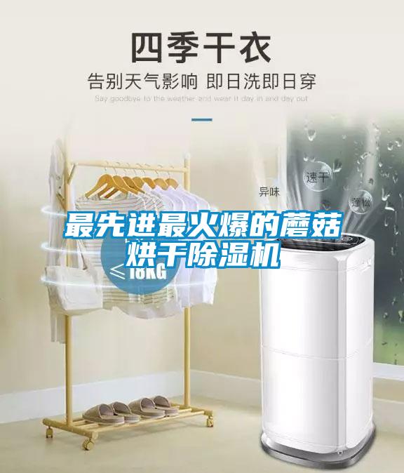 最先进最火爆的蘑菇烘干香蕉视频国产APP下载机