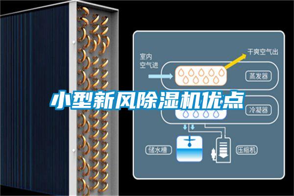 小型新风香蕉视频国产APP下载机优点