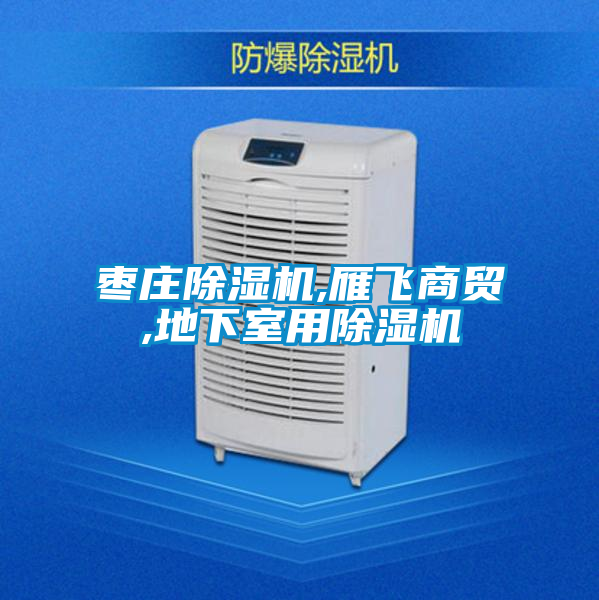 枣庄香蕉视频国产APP下载机,雁飞商贸,地下室用香蕉视频国产APP下载机