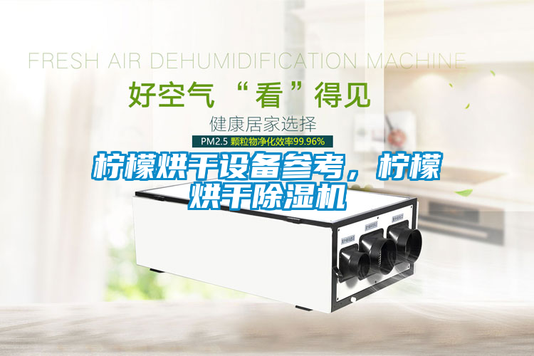 柠檬烘干设备参考，柠檬烘干香蕉视频国产APP下载机