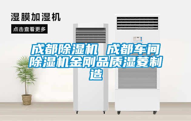 成都香蕉视频国产APP下载机 成都车间香蕉视频国产APP下载机金刚品质湿菱制造