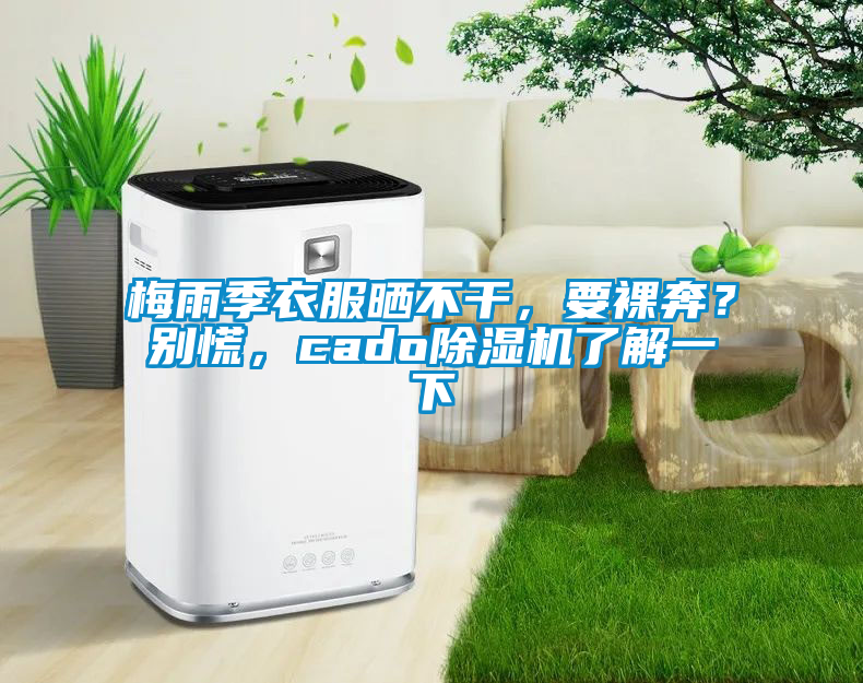 梅雨季衣服晒不干，要裸奔？别慌，cado香蕉视频国产APP下载机了解一下