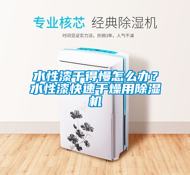 水性漆干得慢怎么办？水性漆快速干燥用香蕉视频国产APP下载机