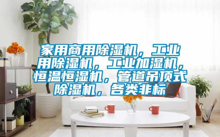家用商用香蕉视频国产APP下载机，工业用香蕉视频国产APP下载机，工业加湿机，恒温恒湿机，管道吊顶式香蕉视频国产APP下载机，各类非标