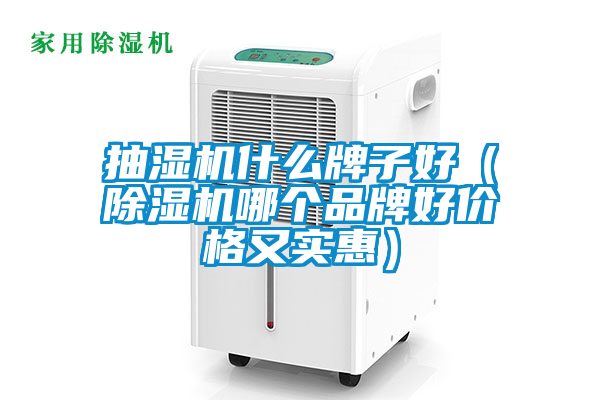 抽湿机什么牌子好（香蕉视频国产APP下载机哪个品牌好价格又实惠）