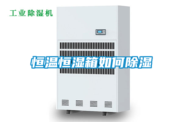 恒温恒湿箱如何香蕉视频国产APP下载