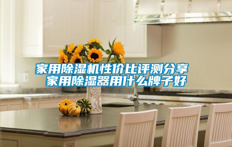 家用香蕉视频国产APP下载机性价比评测分享 家用香蕉视频国产APP下载器用什么牌子好