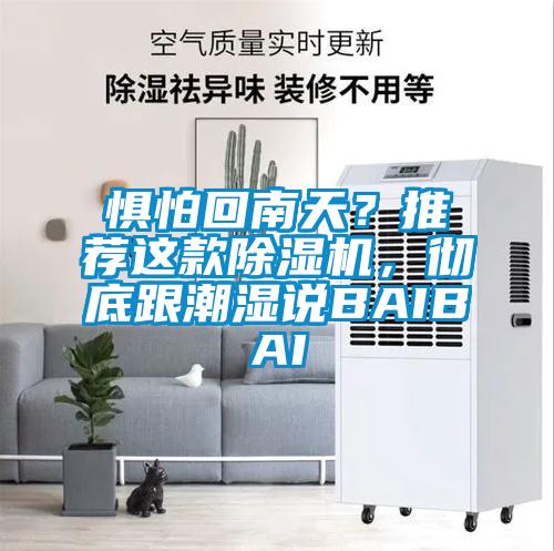惧怕回南天？推荐这款香蕉视频国产APP下载机，彻底跟潮湿说BAIBAI