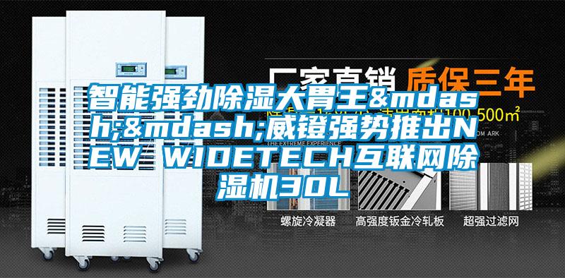 智能强劲香蕉视频国产APP下载大胃王——威镫强势推出NEW WIDETECH互联网香蕉视频国产APP下载机30L
