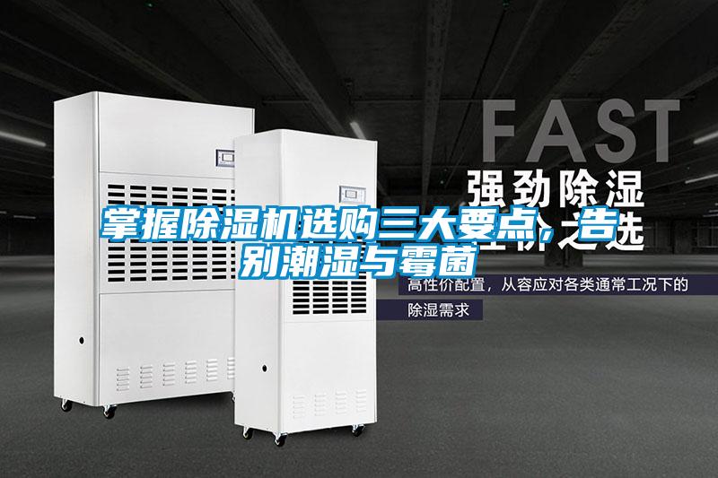 掌握香蕉视频国产APP下载机选购三大要点，告别潮湿与霉菌