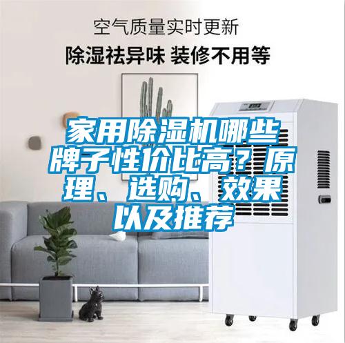 家用香蕉视频国产APP下载机哪些牌子性价比高？原理、选购、效果以及推荐