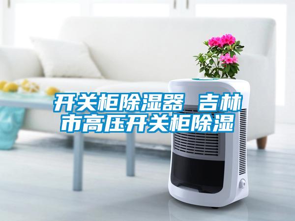 开关柜香蕉视频国产APP下载器 吉林市高压开关柜香蕉视频国产APP下载