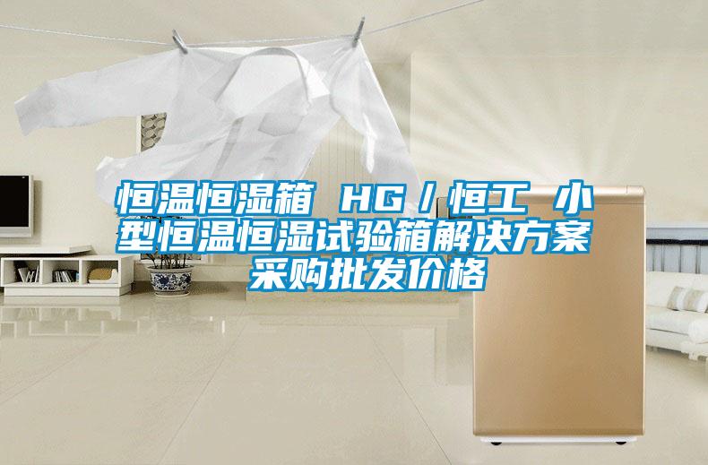 恒温恒湿箱 HG／恒工 小型恒温恒湿试验箱解决午夜香蕉视频 采购批发价格
