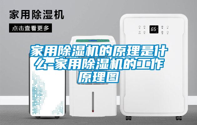 家用香蕉视频国产APP下载机的原理是什么-家用香蕉视频国产APP下载机的工作原理图