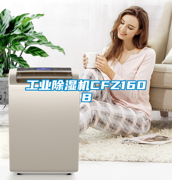 工业香蕉视频国产APP下载机CFZ160B