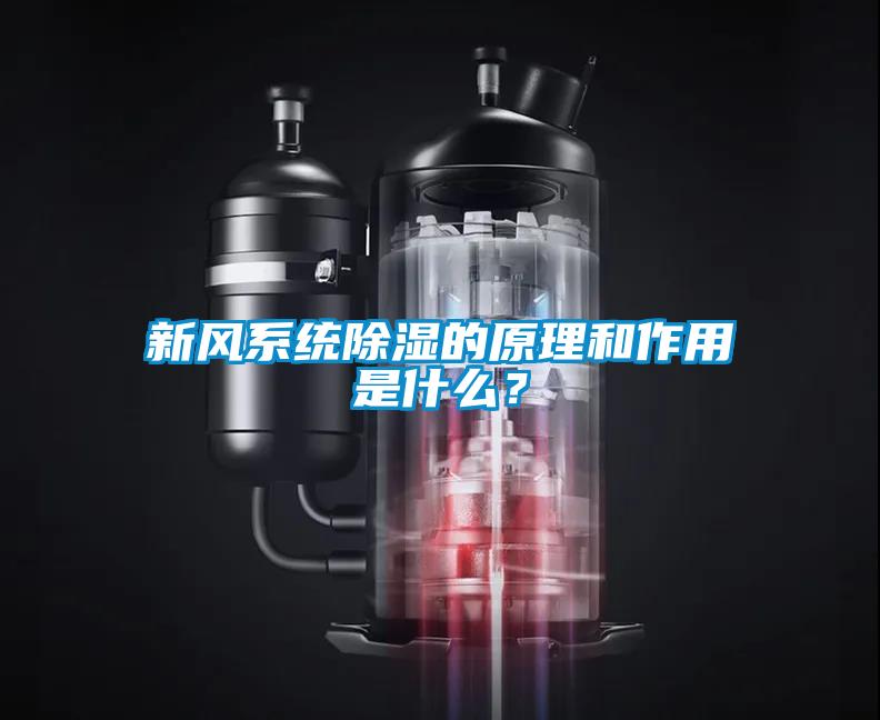 新风系统香蕉视频国产APP下载的原理和作用是什么？