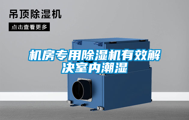 机房专用香蕉视频国产APP下载机有效解决室内潮湿
