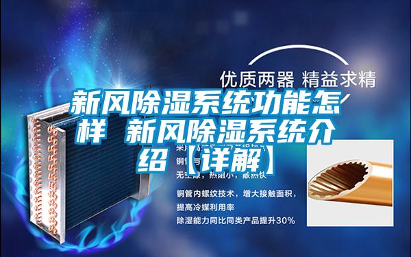 新风香蕉视频国产APP下载系统功能怎样 新风香蕉视频国产APP下载系统介绍【详解】