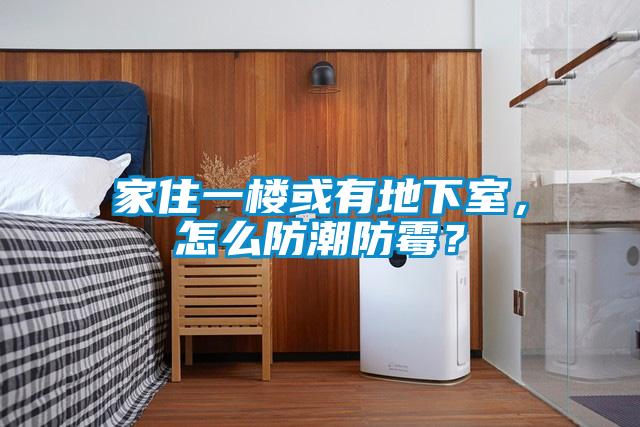 家住一楼或有地下室，怎么防潮防霉？