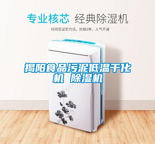揭阳食品污泥低温干化机 香蕉视频国产APP下载机