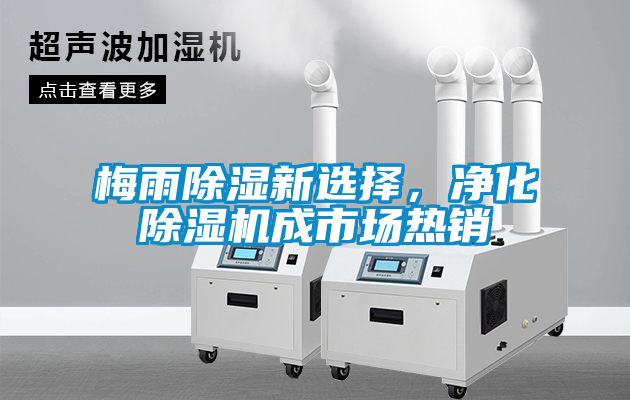 梅雨香蕉视频国产APP下载新选择，净化香蕉视频国产APP下载机成市场热销