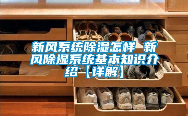 新风系统香蕉视频国产APP下载怎样 新风香蕉视频国产APP下载系统基本知识介绍【详解】