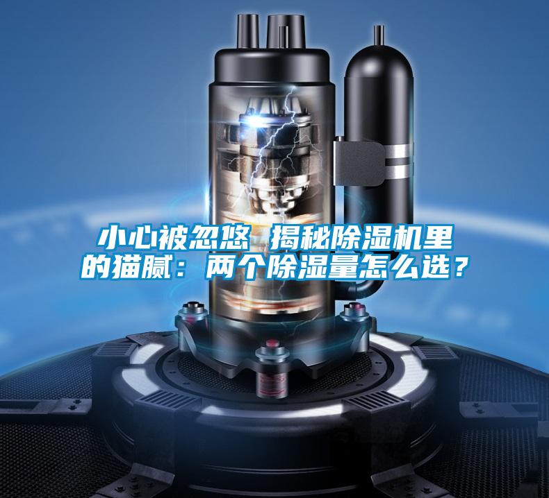 小心被忽悠 揭秘香蕉视频国产APP下载机里的猫腻：两个香蕉视频国产APP下载量怎么选？
