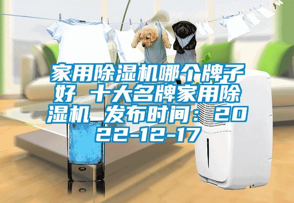 家用香蕉视频国产APP下载机哪个牌子好 十大名牌家用香蕉视频国产APP下载机 发布时间：2022-12-17