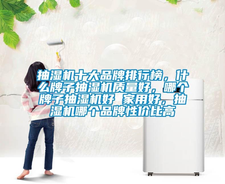 抽湿机十大品牌排行榜，什么牌子抽湿机质量好，哪个牌子抽湿机好 家用好，抽湿机哪个品牌性价比高