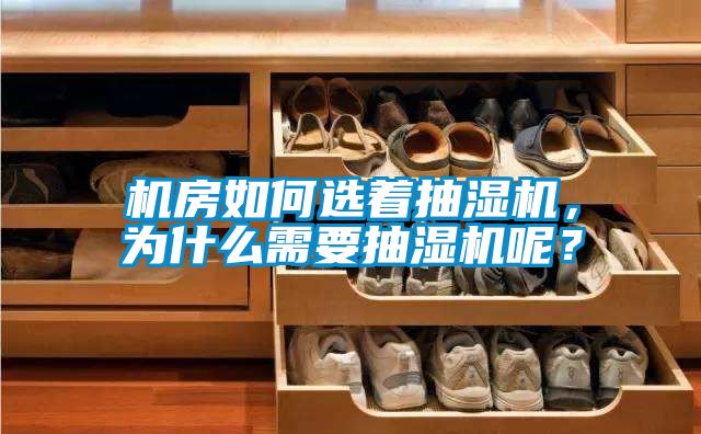 机房如何选着抽湿机，为什么需要抽湿机呢？