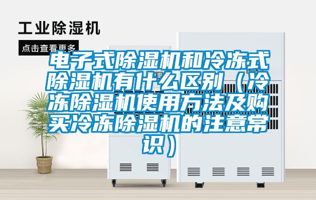 电子式香蕉视频国产APP下载机和冷冻式香蕉视频国产APP下载机有什么区别（冷冻香蕉视频国产APP下载机使用方法及购买冷冻香蕉视频国产APP下载机的注意常识）