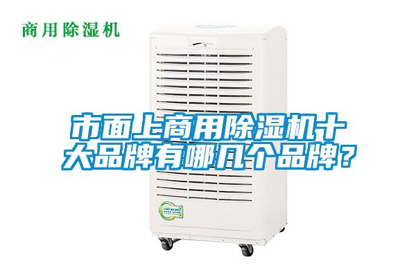 市面上商用香蕉视频国产APP下载机十大品牌有哪几个品牌？