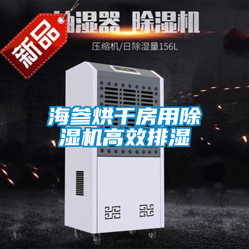 海参烘干房用香蕉视频国产APP下载机高效排湿