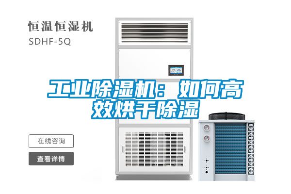 工业香蕉视频国产APP下载机：如何高效烘干香蕉视频国产APP下载