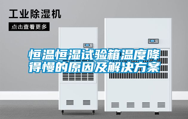恒温恒湿试验箱温度降得慢的原因及解决午夜香蕉视频