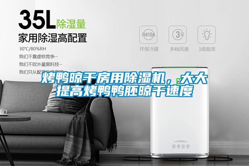 烤鸭晾干房用香蕉视频国产APP下载机，大大提高烤鸭鸭胚晾干速度