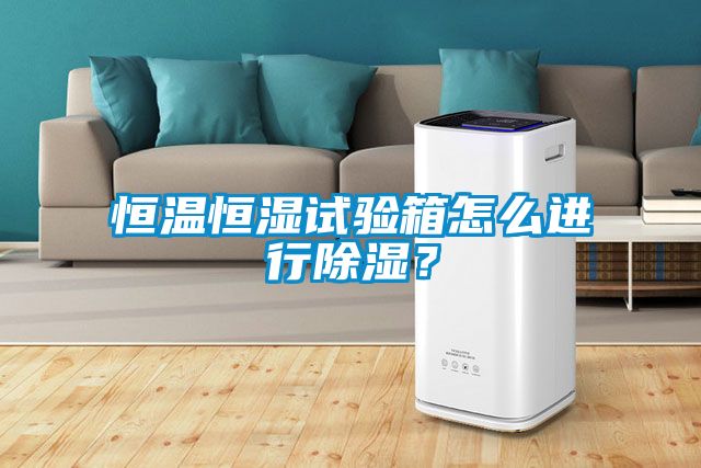 恒温恒湿试验箱怎么进行香蕉视频国产APP下载？