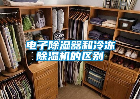 电子香蕉视频国产APP下载器和冷冻香蕉视频国产APP下载机的区别