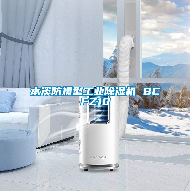 本溪防爆型工业香蕉视频国产APP下载机 BCFZ10