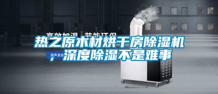 热之原木材烘干房香蕉视频国产APP下载机，深度香蕉视频国产APP下载不是难事