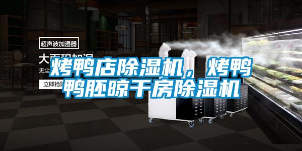 烤鸭店香蕉视频国产APP下载机，烤鸭鸭胚晾干房香蕉视频国产APP下载机