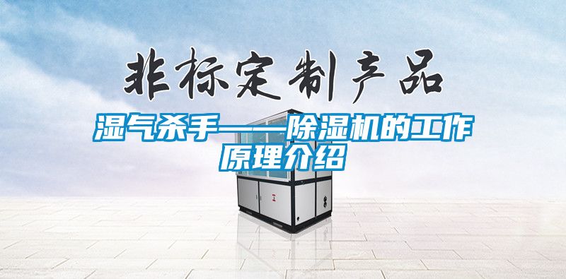 湿气杀手——香蕉视频国产APP下载机的工作原理介绍