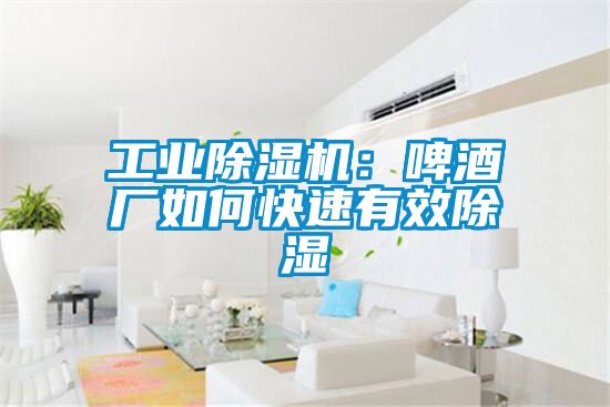 工业香蕉视频国产APP下载机：啤酒厂如何快速有效香蕉视频国产APP下载