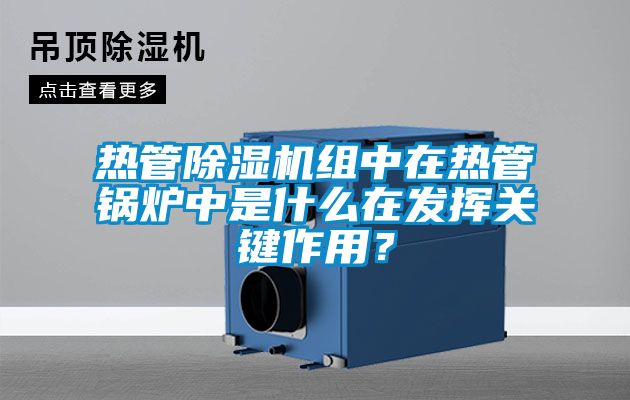 热管香蕉视频国产APP下载机组中在热管锅炉中是什么在发挥关键作用？
