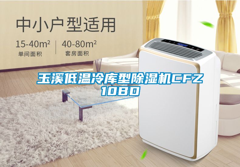 玉溪低温冷库型香蕉视频国产APP下载机CFZ10BD