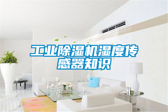 工业香蕉视频国产APP下载机湿度传感器知识