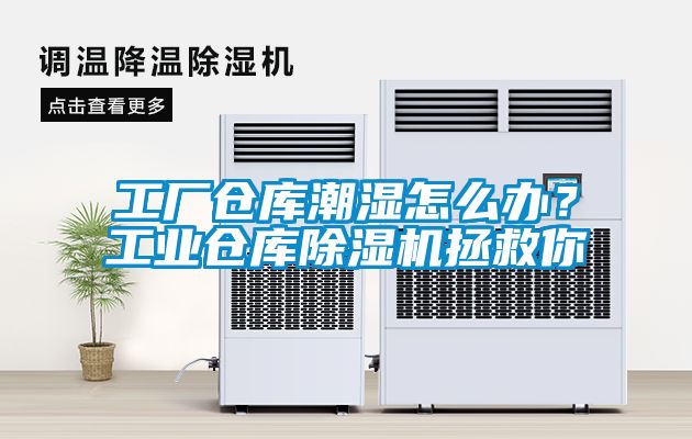 工厂仓库潮湿怎么办？工业仓库香蕉视频国产APP下载机拯救你