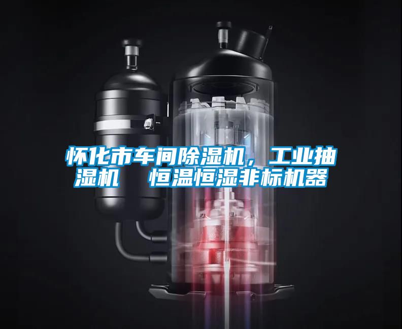 怀化市车间香蕉视频国产APP下载机，工业抽湿机  恒温恒湿非标机器